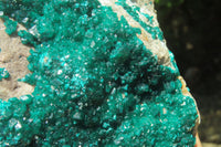 Natural Dioptase Cabinet Specimen x 1 From Congo