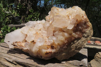 Natural Quartz Crystal Cluster x 1 From Madagascar