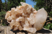 Natural Quartz Crystal Cluster x 1 From Madagascar