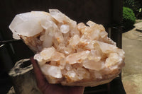 Natural Quartz Crystal Cluster x 1 From Madagascar