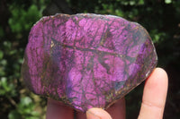 Polished On One Side Metallic Purpurite x 3 From Namibia