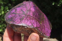 Polished On One Side Metallic Purpurite x 3 From Namibia