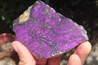 Polished On One Side Metallic Purpurite x 3 From Namibia