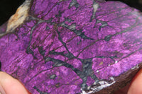 Polished On One Side Metallic Purpurite x 3 From Namibia