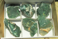 Natural Emerald Mtorolite Plates x 6 From Mutorashanga, Zimbabwe