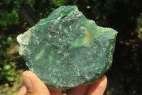 Natural Emerald Mtorolite Plates x 6 From Mutorashanga, Zimbabwe