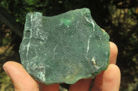 Natural Emerald Mtorolite Plates x 6 From Mutorashanga, Zimbabwe