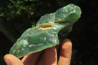 Natural Emerald Mtorolite Plates x 6 From Mutorashanga, Zimbabwe