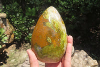 Polished Green Opal Standing Free Form x 1 From Madagascar