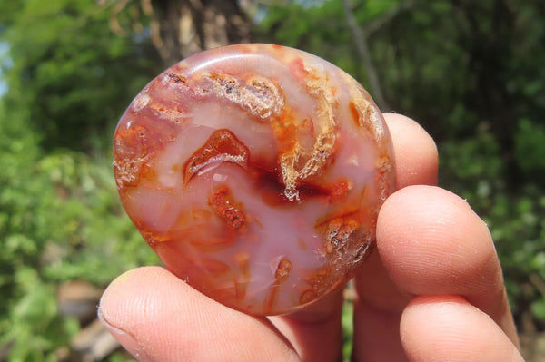 Polished Carnelian Palm Stones x 12 From Madagascar