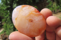 Polished Carnelian Palm Stones x 12 From Madagascar