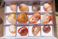 Polished Carnelian Palm Stones x 12 From Madagascar