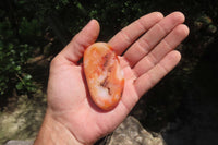 Polished Carnelian Palm Stones x 12 From Madagascar