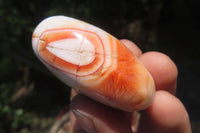 Polished Carnelian Palm Stones x 12 From Madagascar