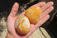 Polished Carnelian Palm Stones x 12 From Madagascar