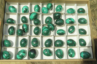 Polished Medium Solid Flower Banded Malachite Gemstone Eggs - Sold Per Item - From Congo