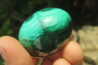 Polished Medium Solid Flower Banded Malachite Gemstone Eggs - Sold Per Item - From Congo