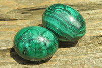 Polished Medium Solid Flower Banded Malachite Gemstone Eggs - Sold Per Item - From Congo