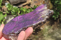 Polished On One Side Metallic Purpurite x 3 From Namibia