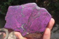 Polished On One Side Metallic Purpurite x 3 From Namibia