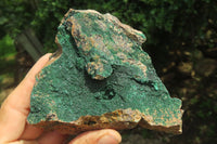 Natural Botryoidal Malachite Specimens x 3 From Tenke Fungurume, Congo