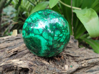 Polished Flower Banded Malachite Gemstone Eggs x 2 From Congo