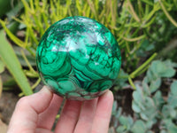 Polished Flower Banded Malachite Gemstone Eggs x 2 From Congo