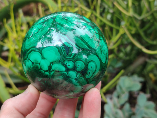 Polished Flower Banded Malachite Gemstone Eggs x 2 From Congo