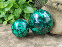 Polished Flower Banded Malachite Gemstone Eggs x 2 From Congo