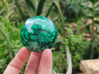 Polished Flower Banded Malachite Gemstone Eggs x 2 From Congo