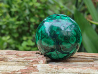 Polished Flower Banded Malachite Gemstone Eggs x 2 From Congo