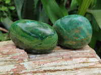 Polished Green Verdite Palm Stones x 12 From Zimbabwe