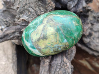 Polished Green Verdite Palm Stones x 12 From Zimbabwe