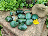 Polished Green Verdite Palm Stones x 12 From Zimbabwe