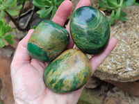 Polished Green Verdite Palm Stones x 12 From Zimbabwe