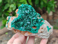 Natural Dioptase On Dolomite Specimens x 2 From Congo