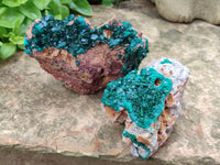 Natural Dioptase On Dolomite Specimens x 2 From Congo