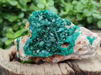 Natural Dioptase On Dolomite Specimens x 2 From Congo