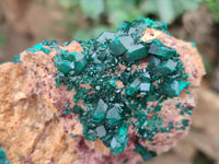 Natural Dioptase On Dolomite Specimens x 2 From Congo