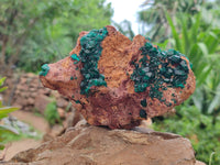 Natural Dioptase On Dolomite Specimens x 2 From Congo