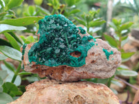 Natural Dioptase On Dolomite Specimens x 2 From Congo