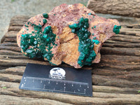 Natural Dioptase On Dolomite Specimens x 2 From Congo