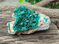 Natural Dioptase On Dolomite Specimens x 2 From Congo