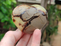 Polished Septerye Hearts 65mm -Sold Per Item- From Mahajanga, Madagascar