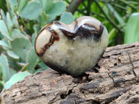 Polished Septerye Hearts 65mm -Sold Per Item- From Mahajanga, Madagascar