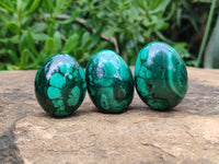 Polished Flower Banded Malachite Eggs - Sold Per Item - From Congo