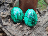 Polished Flower Banded Malachite Eggs - Sold Per Item - From Congo