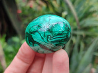 Polished Flower Banded Malachite Eggs - Sold Per Item - From Congo