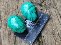 Polished Flower Banded Malachite Eggs - Sold Per Item - From Congo