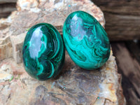 Polished Flower Banded Malachite Eggs - Sold Per Item - From Congo